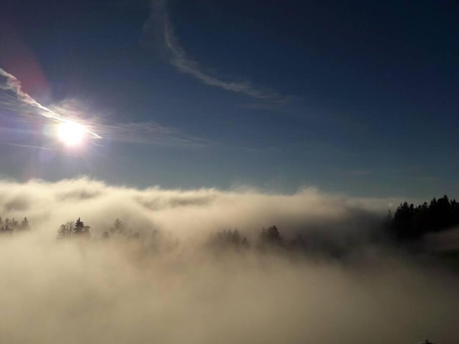 Grosszuegige Ferienwohnung Am Skigebiet Boedele Mit Rheintalblick Ντορνμπίρν Εξωτερικό φωτογραφία